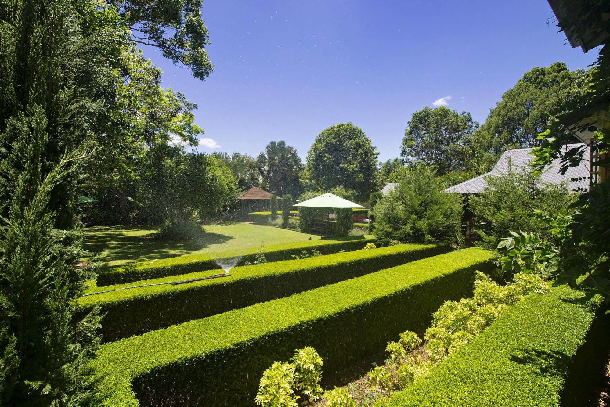 Allumbah Pocket Cottages Yungaburra Exterior foto